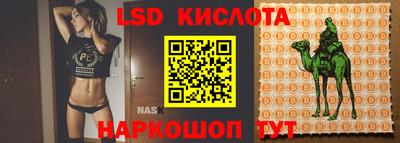 мяу мяу кристалл Сланцы
