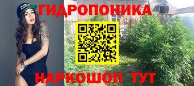 синтетический гашиш Славгород